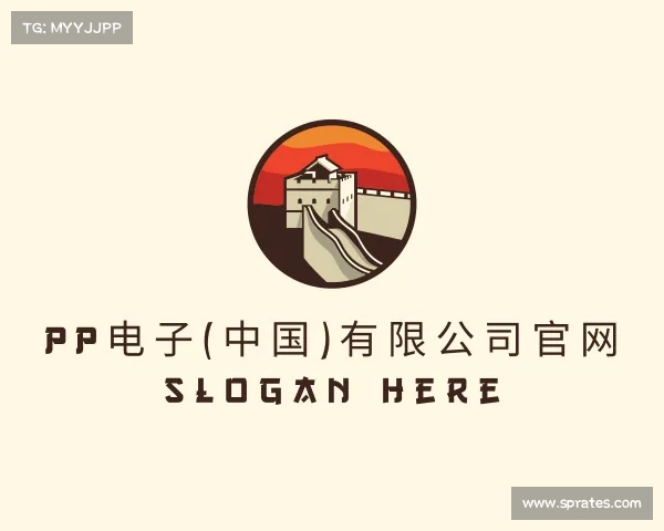 了解PP电子(中国)有限公司官网